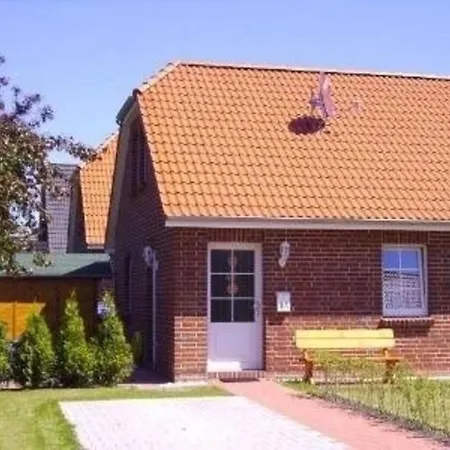 Seerobbe In Apartment Norden